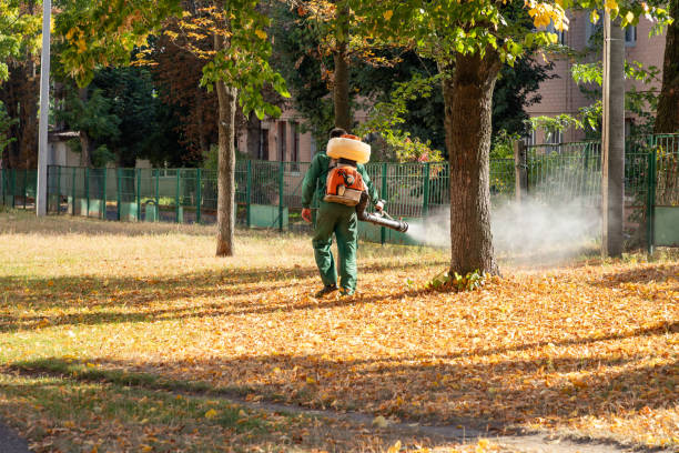 Best Pest Control Near Me in Walla Walla, WA